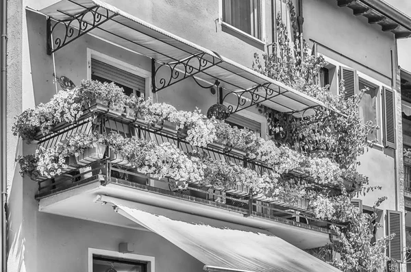 Pintoresco Balcón Con Flores Como Una Pequeña Ciudad Norte Italia — Foto de Stock