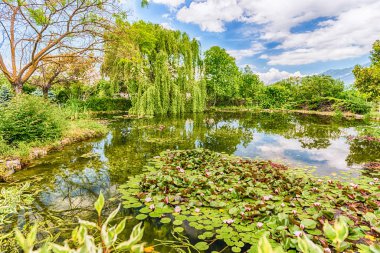Ormanda güzel yansımaları olan İdillik küçük göleti