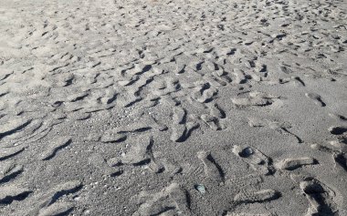 Birçok ayak izlerini her yerde kumlu bir plaj üzerinde gidiş