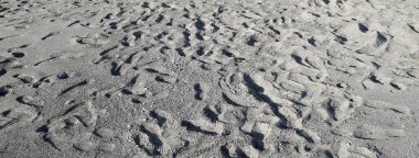 Birçok ayak izlerini her yerde kumlu bir plaj üzerinde gidiş