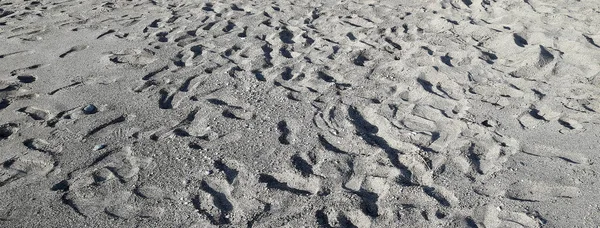 Birçok ayak izlerini her yerde kumlu bir plaj üzerinde gidiş