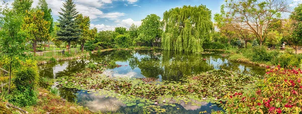 Idillic Pequeño Estanque Bosque Con Hermosos Reflejos — Foto de Stock