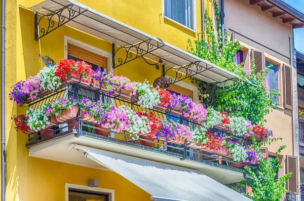 Balcon Pittoresque Avec Des Fleurs Dans Une Petite Ville Nord — Photo