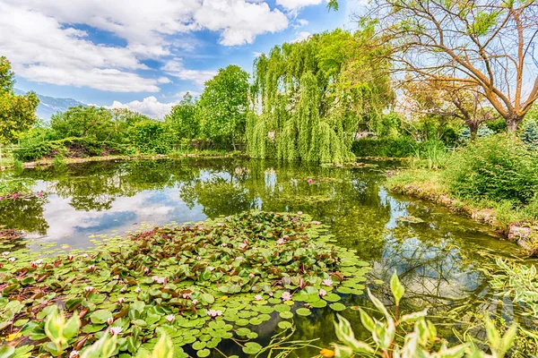 Idillic Pequeño Estanque Bosque Con Hermosos Reflejos — Foto de Stock