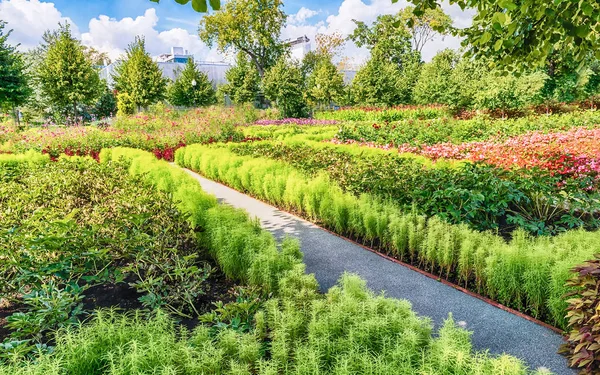 Idillic Garden Släpper Gorky Park Centrala Moskva Ryssland — Stockfoto