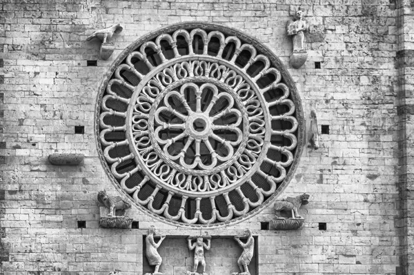 Rose Window Facade Medieval Cathedral Assisi Italy Church Dedicated San — Stock Photo, Image