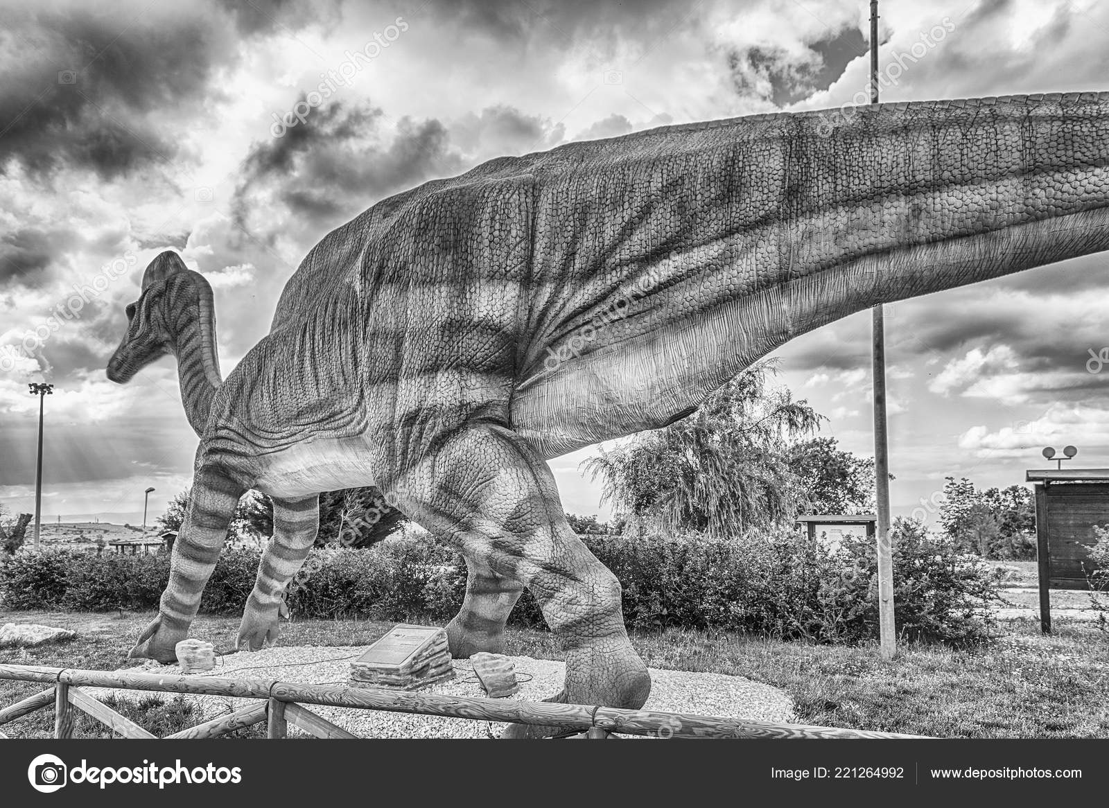 ランベオサウルス写真素材 ロイヤリティフリーランベオサウルス画像 Depositphotos ランベオサウルス写真素材 ロイヤリティフリーランベオサウルス画像 Depositphotos
