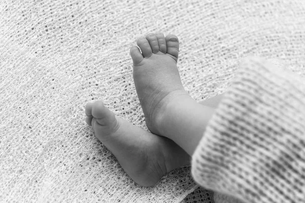 Closeup Newborn Baby Feet Beautiful Selective Focus Concept Maternity Tenderness — Stock Photo, Image