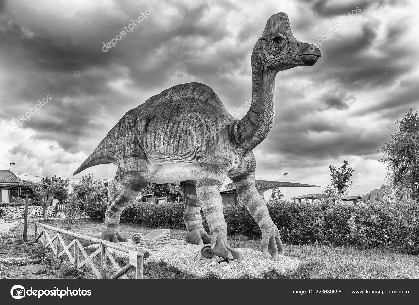 ランベオサウルス写真素材 ロイヤリティフリーランベオサウルス画像 Depositphotos ランベオサウルス写真素材 ロイヤリティフリーランベオサウルス画像 Depositphotos