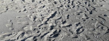 Birçok ayak izlerini her yerde kumlu bir plaj üzerinde gidiş