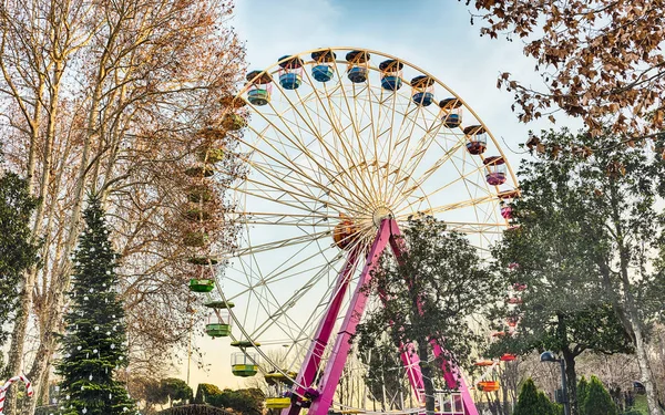 Roda Gigante Cercada Por Árvores Dentro Parque Diversões — Fotografia de Stock