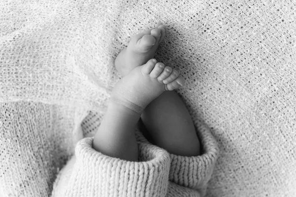 Yeni doğmuş bir bebek ayakları closeup — Stok fotoğraf