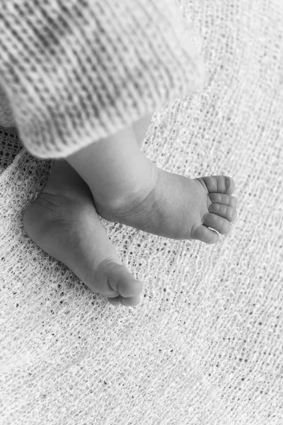 Closeup of a newborn baby feet — Stock Photo, Image