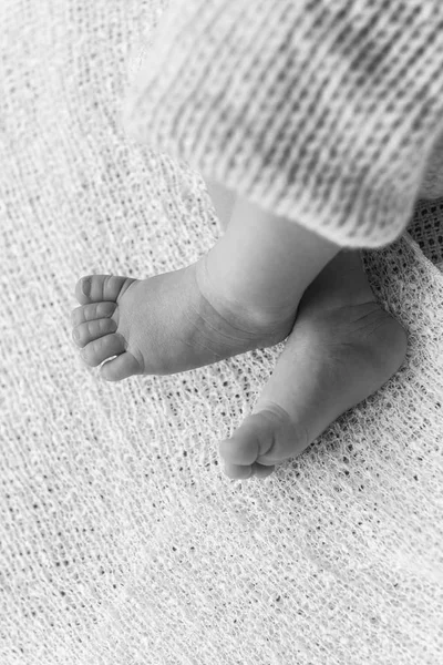 Closeup of a newborn baby feet — Stock Photo, Image