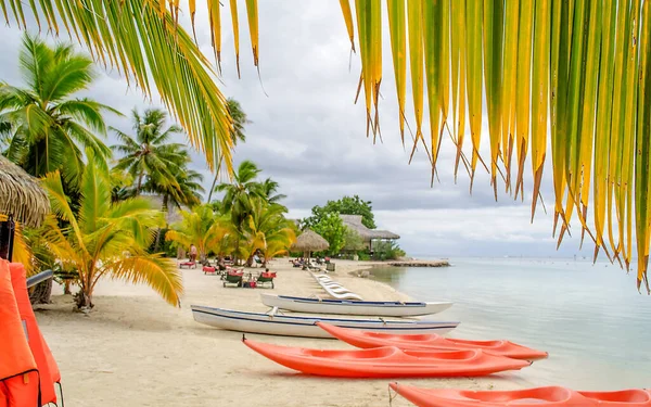 Playa Del Paraíso Tropical Moorea Polinesia Francesa —  Fotos de Stock