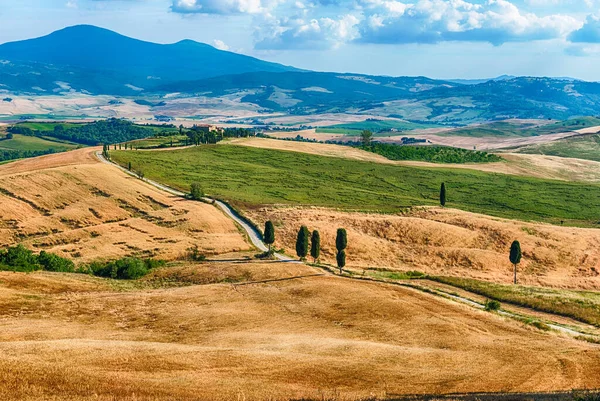 Paisaje Campos Secos Campo Toscana Italia Concepto Agricultura Tierras Cultivo —  Fotos de Stock