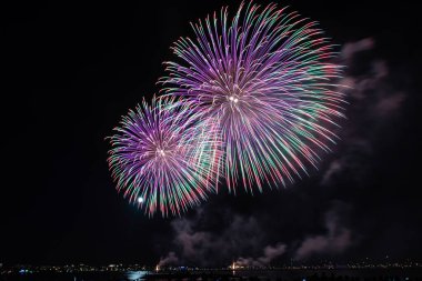 Cannes, Cote d 'Azur, Fransa' da 14 Temmuz kutlamaları için gece parlayan havai fişekler
