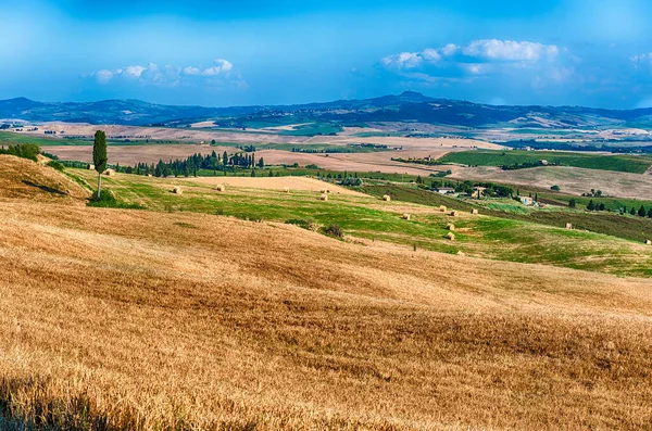 Пейзаж Сухих Полей Сельской Местности Тоскане Италия Концепция Сельского Хозяйства — стоковое фото