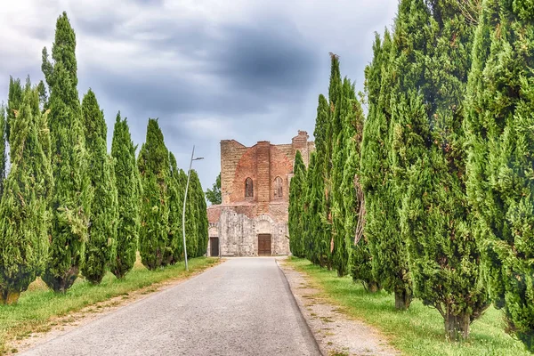 Chiusdino Italien Juni Landschaftlich Reizvolle Straße Mit Zypressen Die Juni — Stockfoto