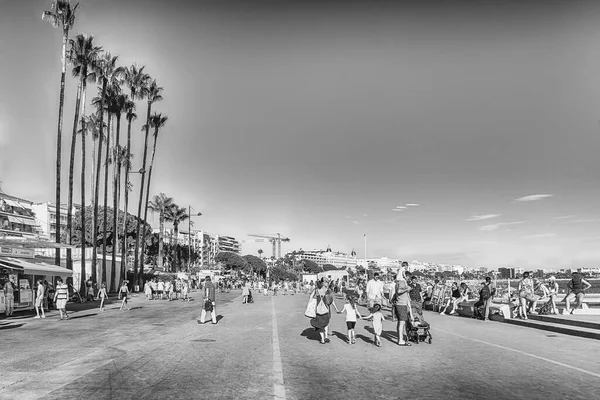 Kanies Francja Sierpnia 2019 Światowej Sławy Promenada Croisette Cannes Francja — Zdjęcie stockowe