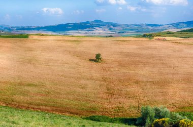 İtalya 'nın Toskana kentindeki kırsal alanların manzarası. Tarım ve tarım arazileri kavramı