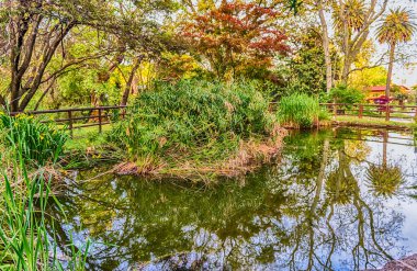 İdillik göleti Roma, İtalya 'da bir halk parkında güzel yansımaları var.