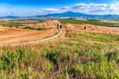 İtalya 'nın Toskana kentindeki kırsal alanların manzarası. Tarım ve tarım arazileri kavramı