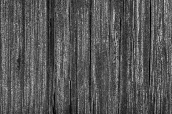 Wood Texture Grey Wooden Background Vintage Timber Plank Wall Close — Stock Photo, Image
