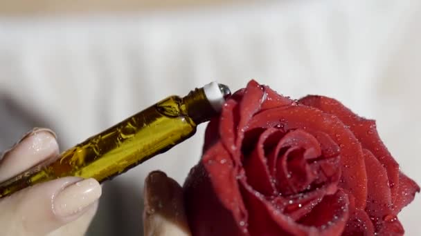 Elegant female hands with beautiful manicure applied the aromatic oil from the glass bottle with ball dispenser on a red rose under water drops in the dark