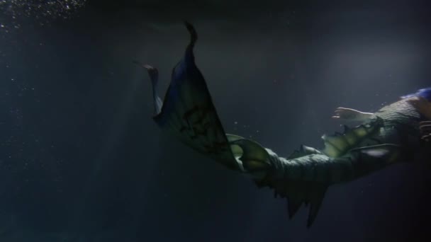 Beautiful Mermaid With Purple Hair Swimming Underwater In Darkness