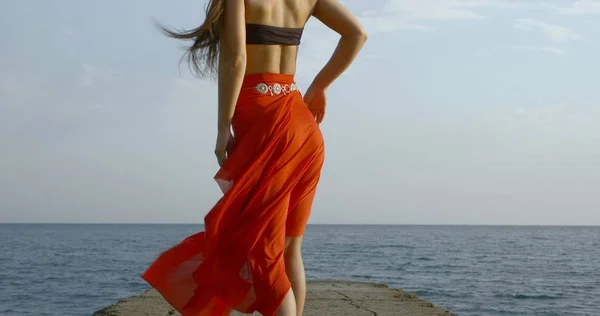 slim woman is standing on sea shore, back view on her beautiful legs and ass, her long silk skirt is swaying by wind
