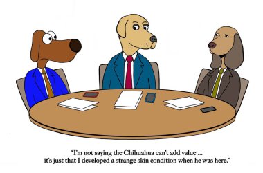 Beagle isilik Chihuahua alır.