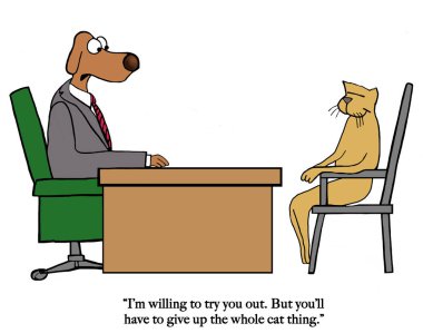 Köpek kedi kedi olmak söyler