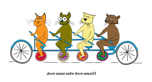 Group Cat Friends Out Ride — Stock Photo, Image