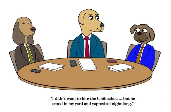 Dog Board Directors Has Hired Chihuahua — Stock Photo, Image