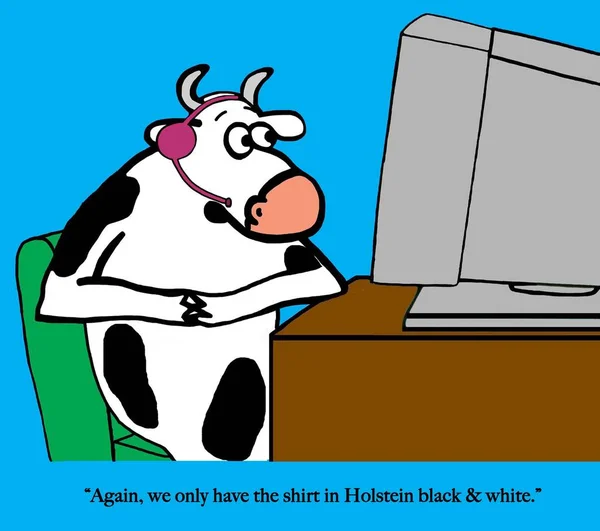 Cow Sells All Clothes Black White — Stock Photo, Image