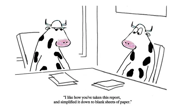 Корова Дала Хороший Отчет — стоковое фото