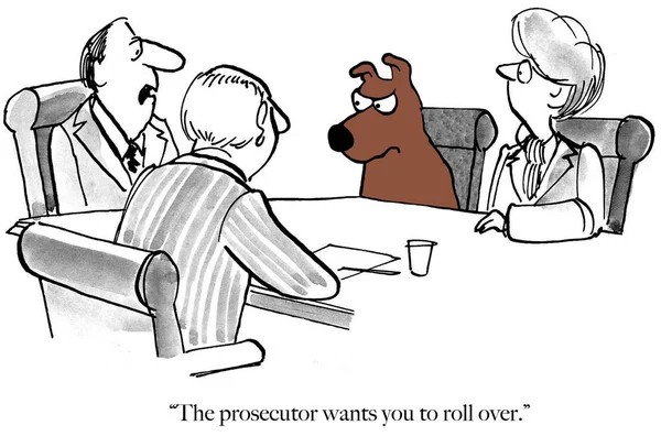 Head Legal Team Informs His Dog Client Deal Has Been — Stock Photo, Image