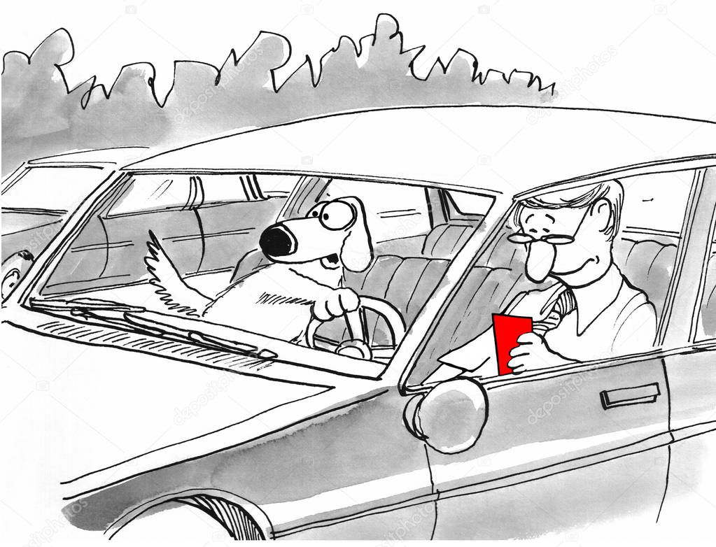 A dog takes the wheel because the driver is distracted by his smartphone.             