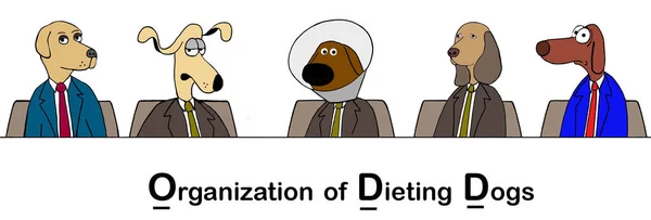 Organization Dogs Who Unhappy Dieting — Stock Photo, Image