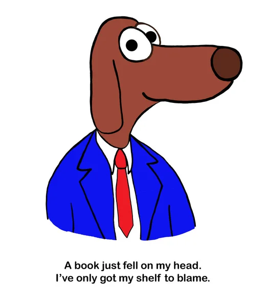 Dog is head on hit by book — Stock Photo, Image