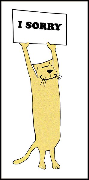 Cat is sorry for behaviour