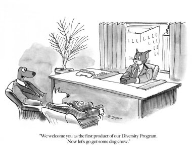 Köpek yöneticileri kedi için yemek sunuyoruz