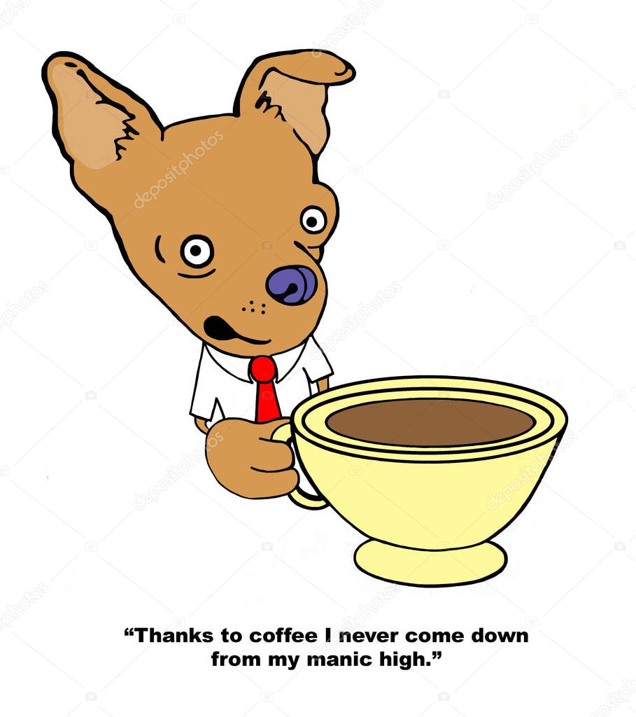 Chihuahua is happy for coffee