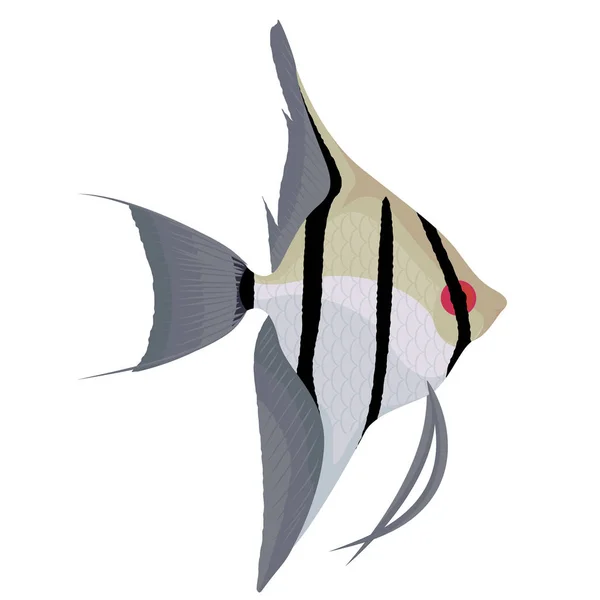 Angelfish kartun ikan akuarium - Stok Vektor