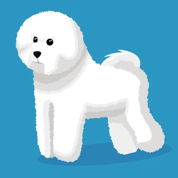 Bichon Frise Σκυλί Διανυσματικά Εικονογράφηση — Διανυσματικό Αρχείο