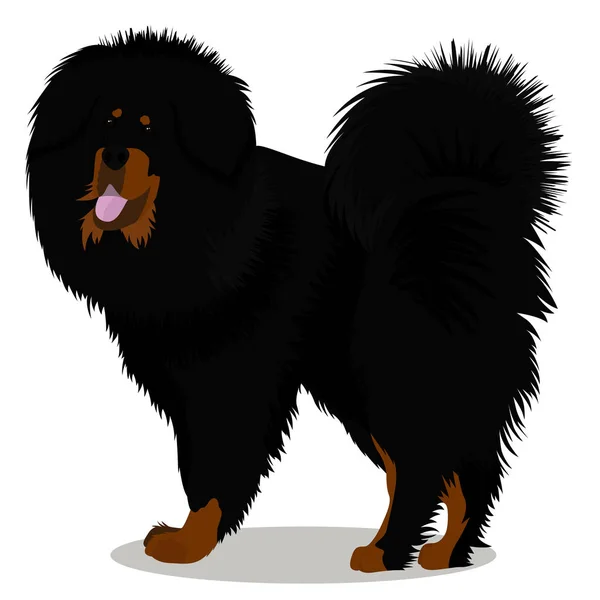 Perro mastín tibetano — Vector de stock