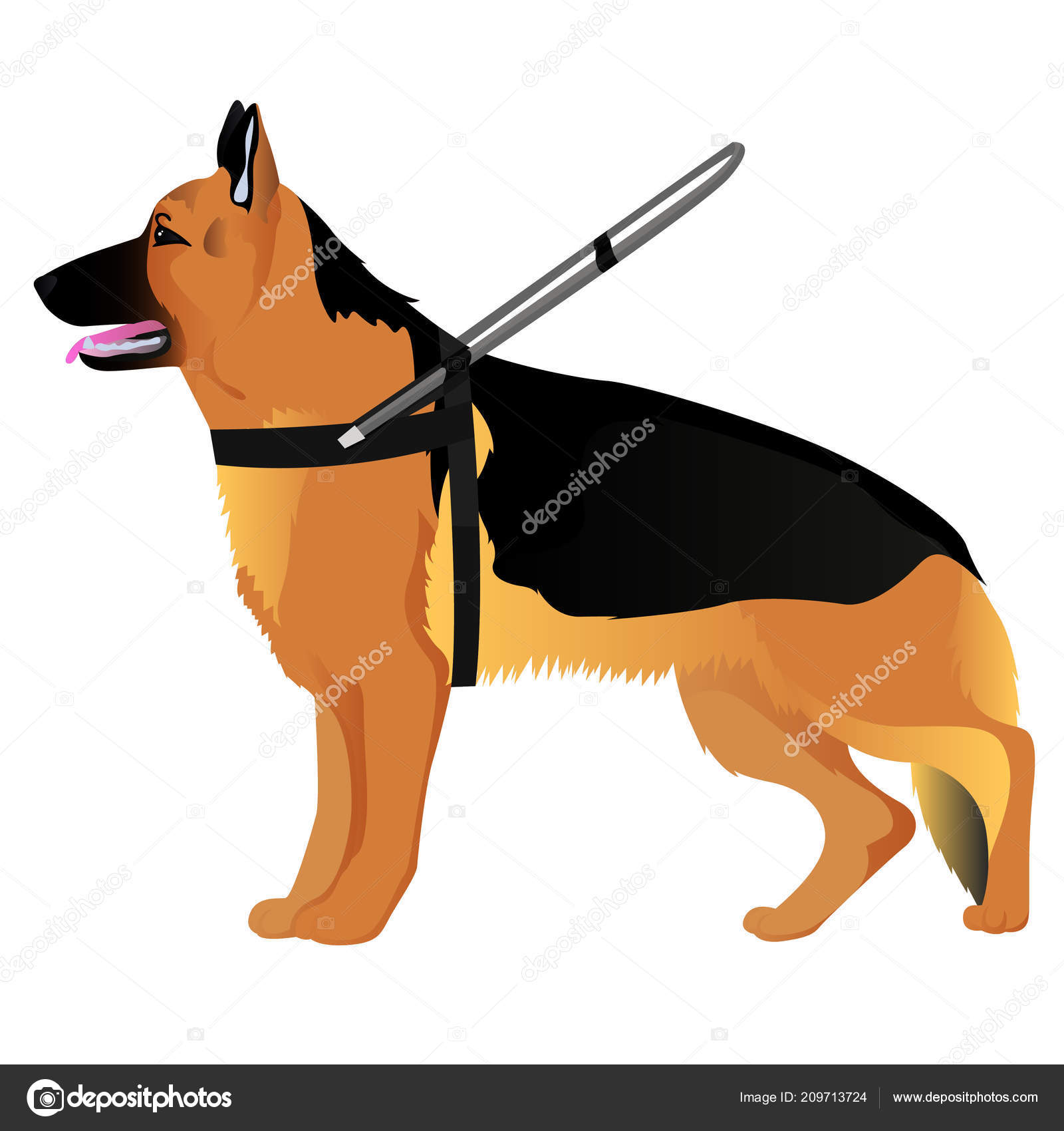 German shepherd guide dog — Stock Vector