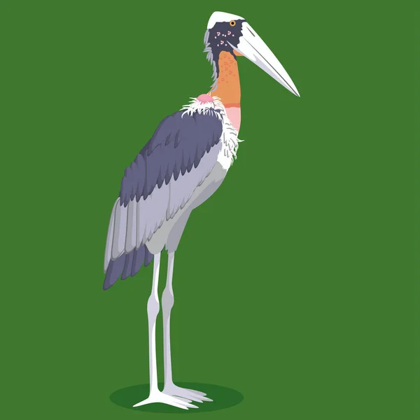 Větší pták kreslený pobočník čáp — Stockový vektor
