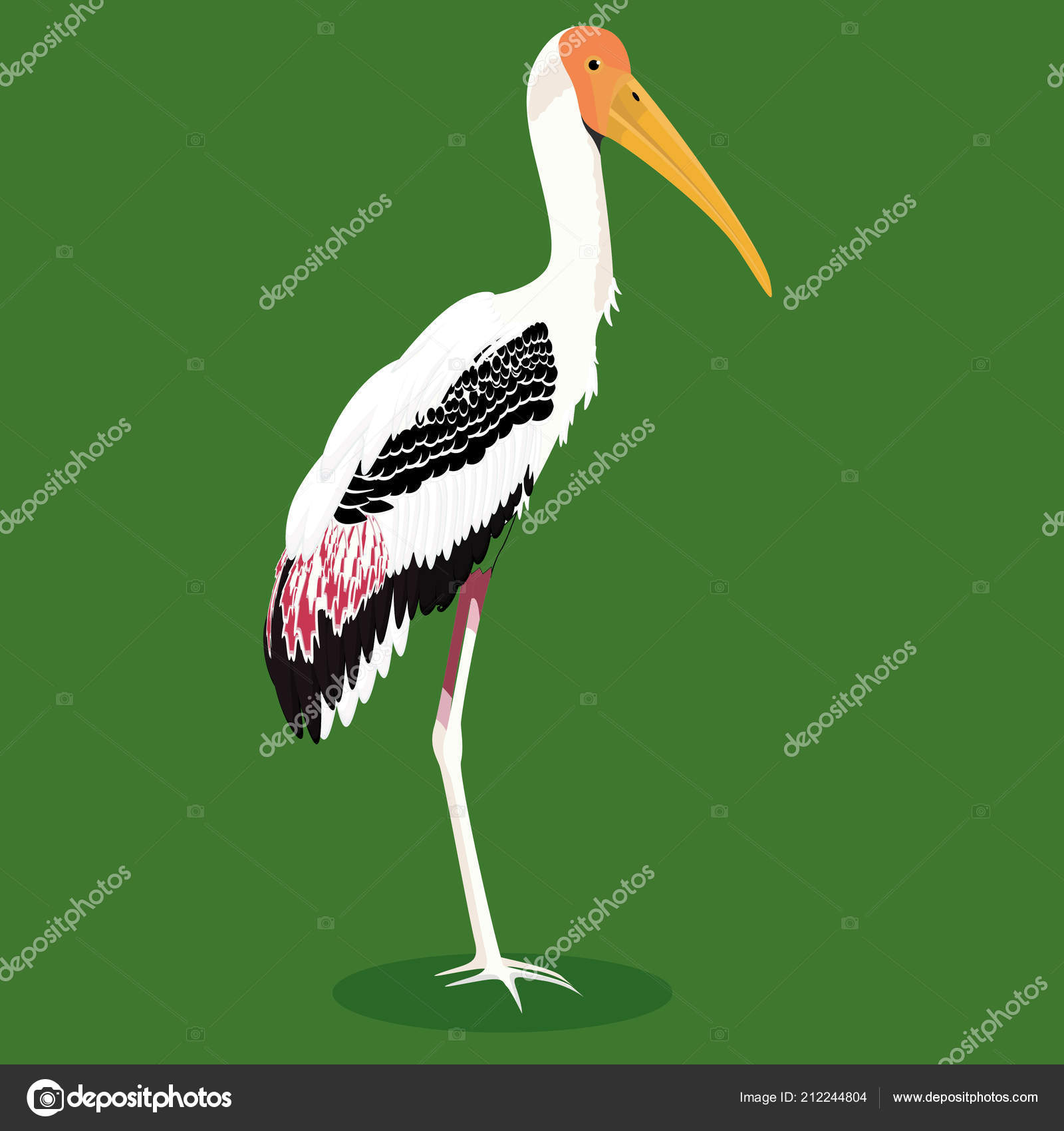 Peint Illustration Vectorielle Cigogne Dessin Animé Oiseaux